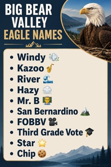Big Bear Valley Eagle Names