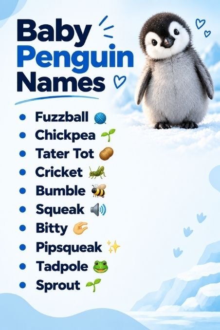 Baby Penguin Names