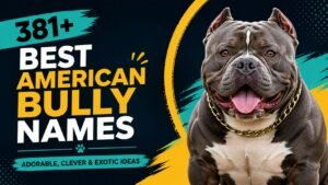 381+ Best American Bully Names That Will Make Your Bully Impossible to Forget
