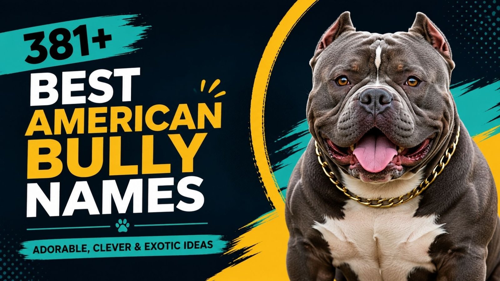 381+ Best American Bully Names That Will Make Your Bully Impossible to Forget
