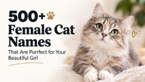 Female Cat Names: 500+ That Are Simply Purrfect 😻 Cute, Unique, Fancy and Surprisingly Beautiful Picks You’ll Love