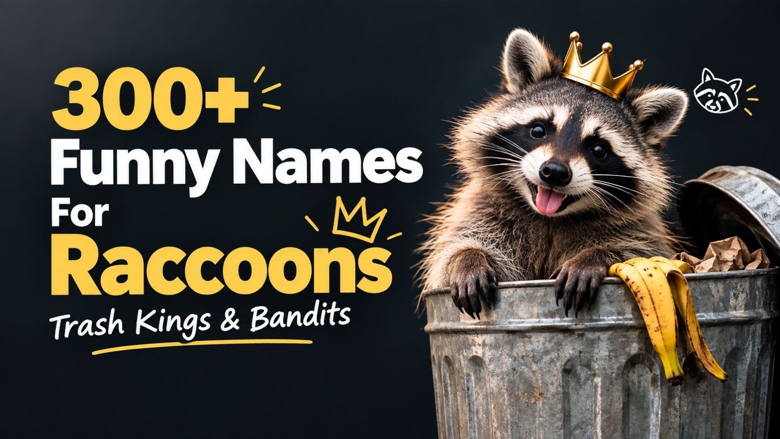 Funny Names For Raccoons: 300+ That Are So Clever You’ll Want To Steal One
