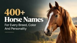 Horse Names: 400+ That Will Make Your Horse Unforgettable, Cool, Cute, Funny, And Surprisingly Perfect Picks