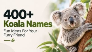Koala Names You’ll Love: 400+ Cute, Funny, Famous and Surprisingly Perfect Picks