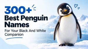 Best Penguin Names: 300+ You’ll Absolutely Love, Cute, Funny, Cool, And Surprisingly Unique Picks
