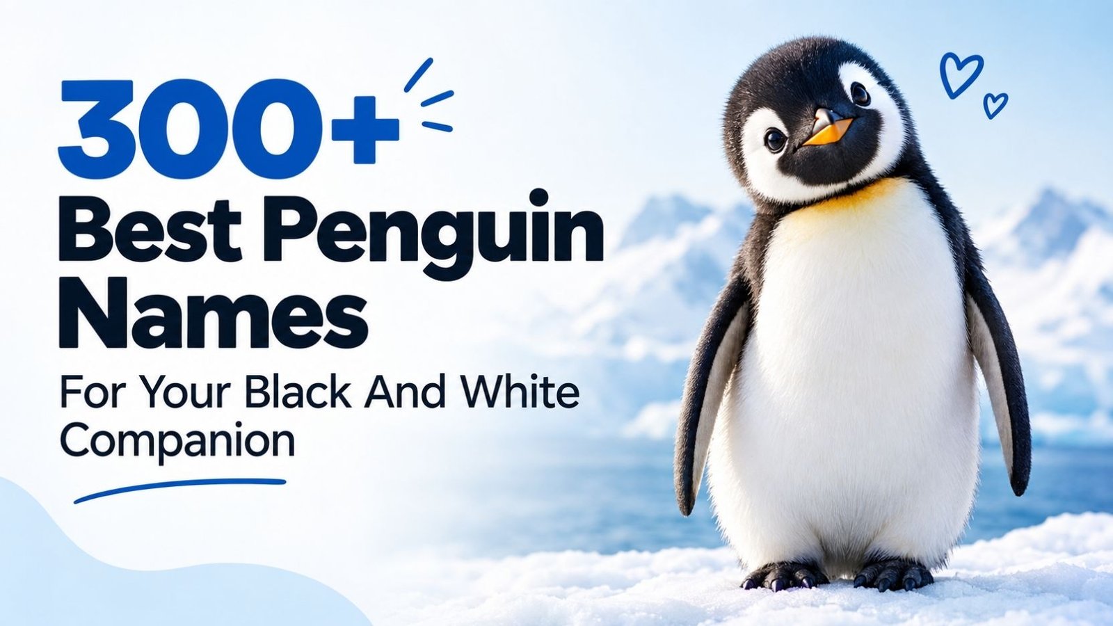 Best Penguin Names: 300+ You’ll Absolutely Love, Cute, Funny, Cool, And Surprisingly Unique Picks